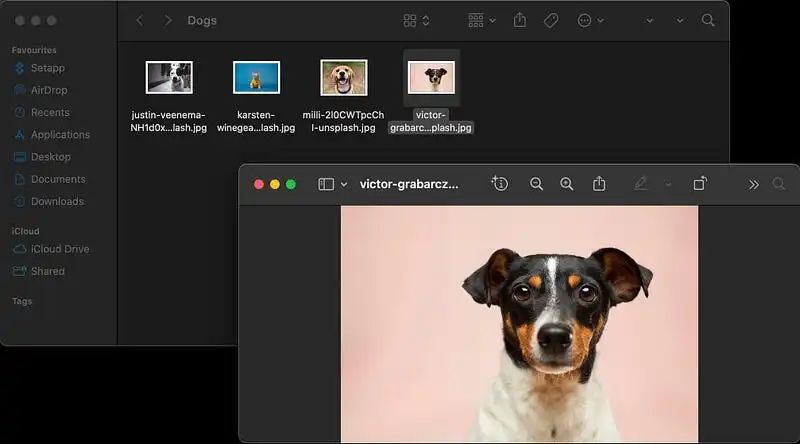 图片[9]-14 个令人惊叹的 macOS 技巧和窍门，助你提高工作效率-Mac无忧